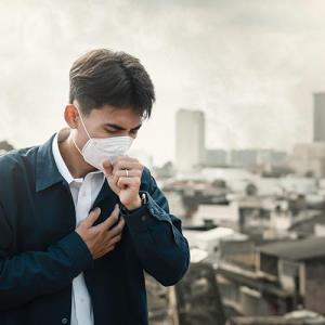 Air pollution affects genes involved in sperm development