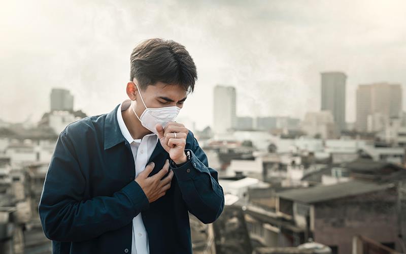 Air pollution affects genes involved in sperm development