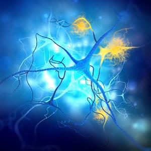 Brain-derived p-tau217 highly accurate for detecting amyloid burden in older Asian adults