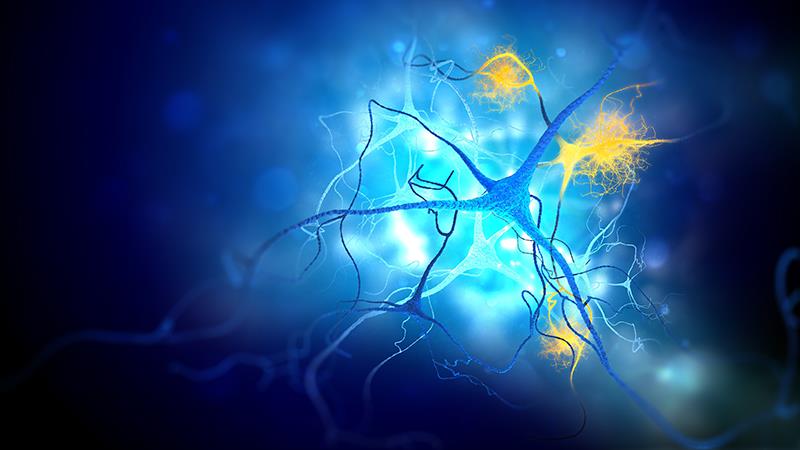 Local research has shown measuring brain-derived p-tau217 in blood has superior accuracy than measuring other p-tau species f
