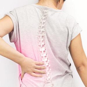 Calcium-enriched permeate supplement prevents bone loss in postmenopausal women