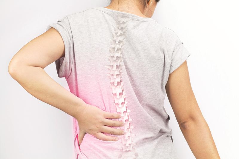 Calcium-enriched permeate supplement prevents bone loss in postmenopausal women