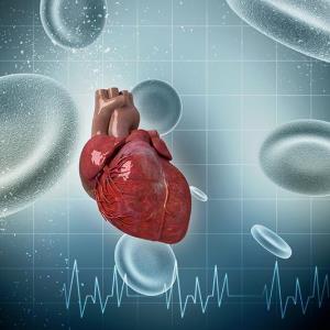 Subclinical cardiac remodeling tied to increased cancer risk