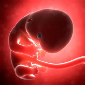 Hydroxychloroquine does little to prevent recurrent miscarriage