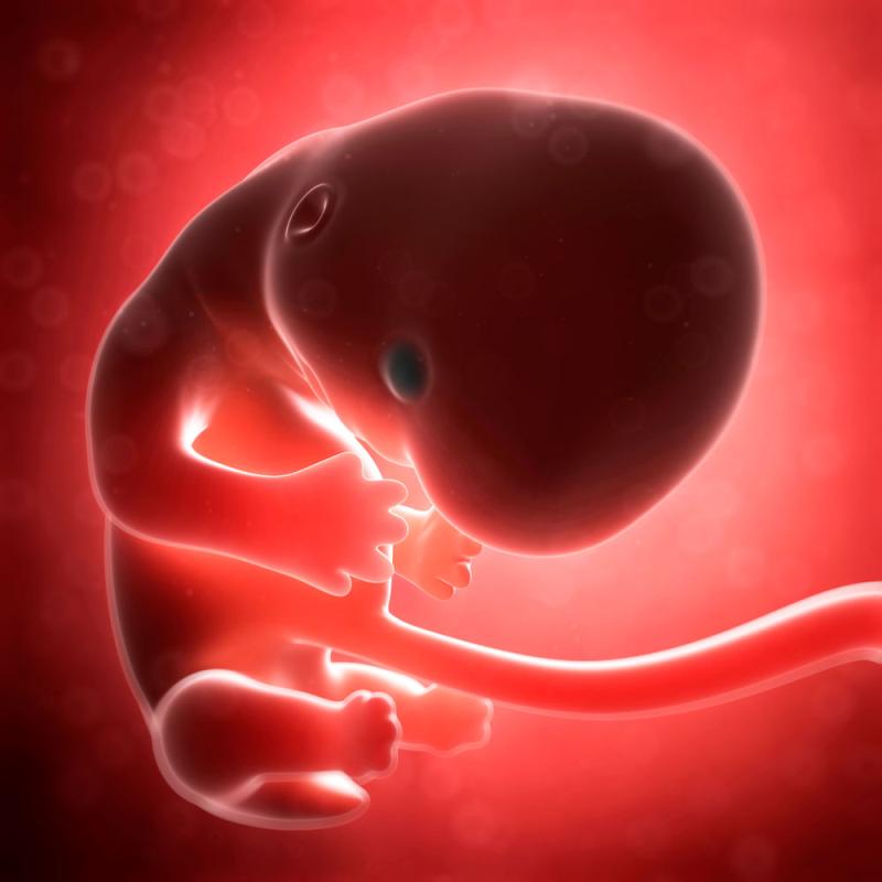 Hydroxychloroquine does little to prevent recurrent miscarriage