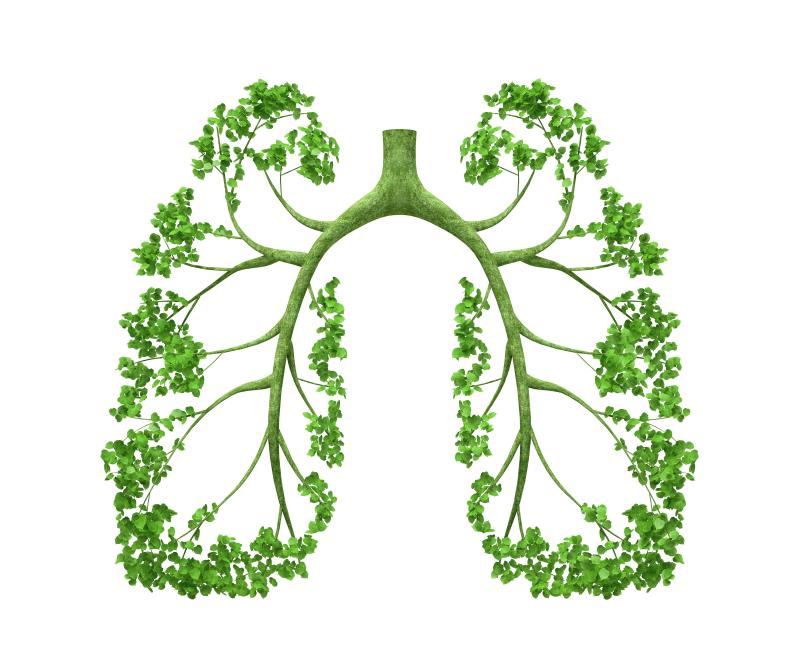 Novel dual PDE3/PDE4 inhibitor shows promise in COPD