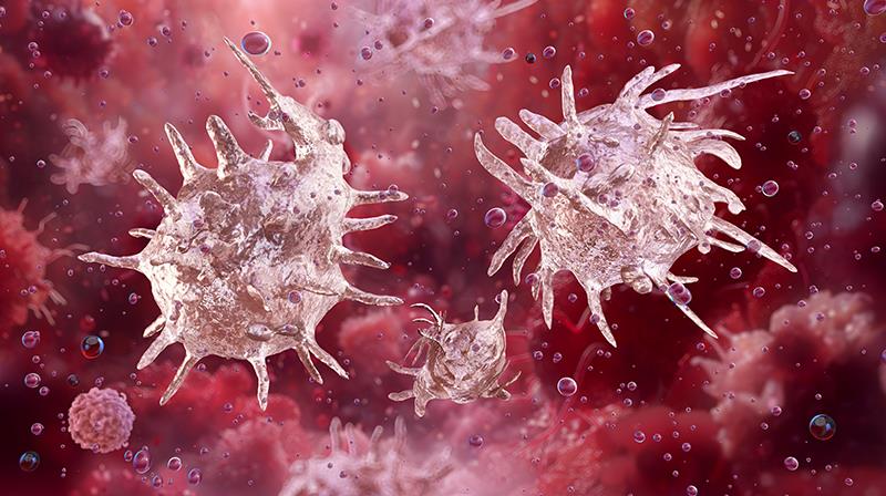 Efgartigimod improves platelet response in primary ITP