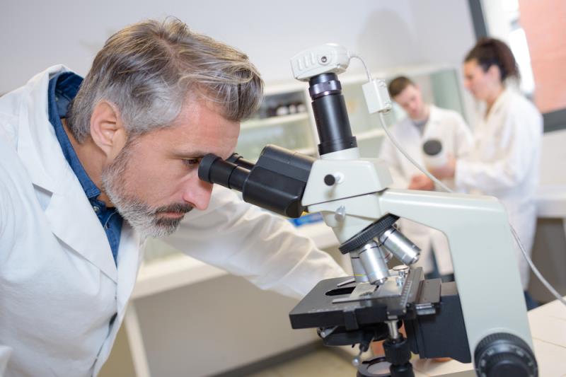 Original New Drug Application Approvals by US FDA (16-31 May 2026)