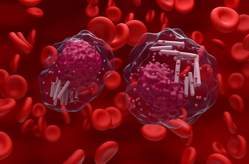The CLL14 findings provide new insights into long-term outcomes following venetoclax + obinutuzumab nearly a decade post-trea
