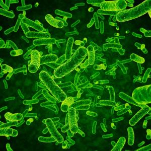 Topical chlorhexidine 1% reduces maternal, neonatal bacterial colonization
