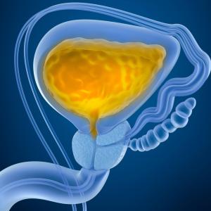 Reusable noninferior to single-use catheters for patients with urinary retention