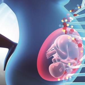 Newborns’ epigenetics and gut microbiome linked to later neurodevelopmental outcomes