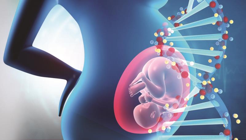 Newborns’ epigenetics and gut microbiome linked to later neurodevelopmental outcomes