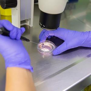 Modern IVF improves live births with fewer multiple pregnancies