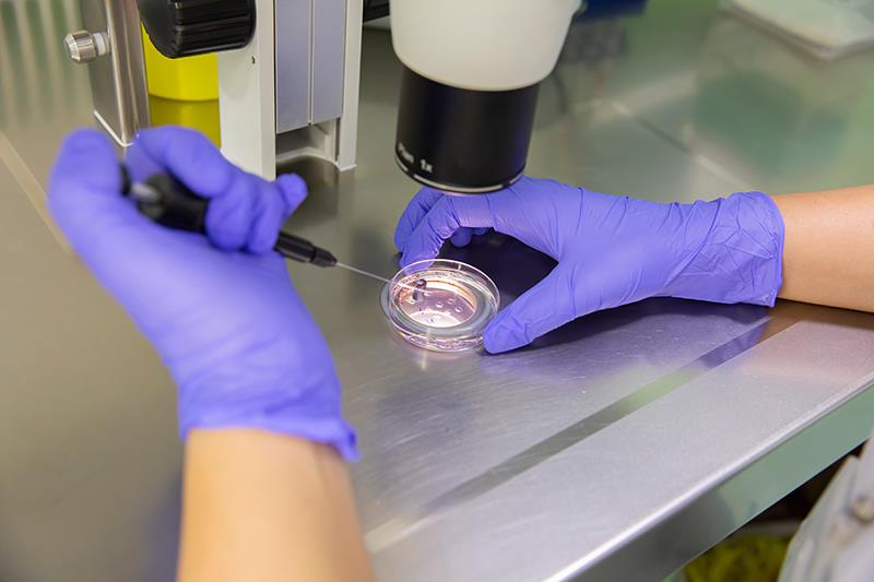Modern IVF improves live births with fewer multiple pregnancies