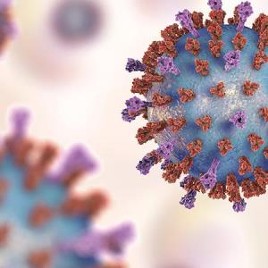 Singapore Specialists Discuss
RSV Prevention Strategies