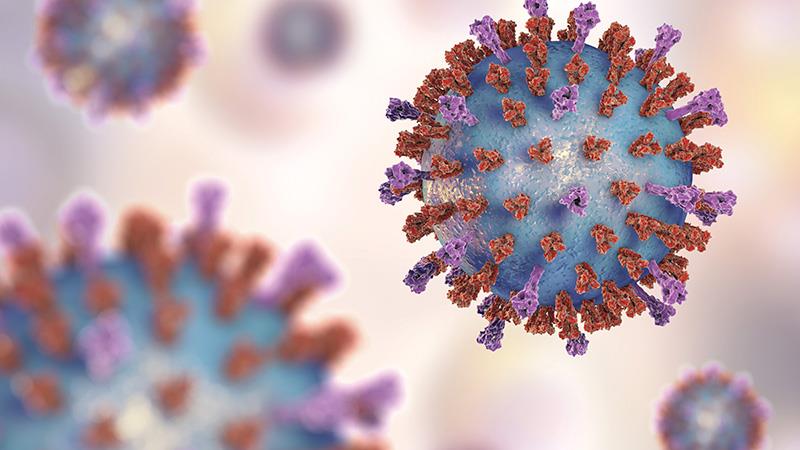 Singapore Specialists Discuss
RSV Prevention Strategies