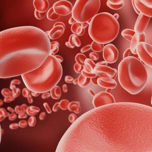 Nipocalimab shows rapid, durable Hgb improvements in adults with wAIHA