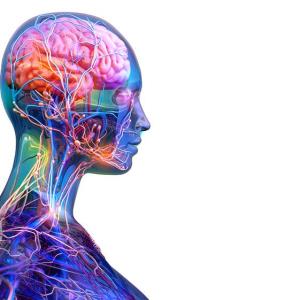 Vemircopan for generalized myasthenia gravis misses mark in phase 2 study