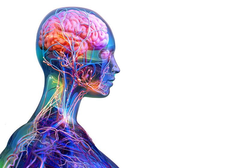Vemircopan for generalized myasthenia gravis misses mark in phase 2 study