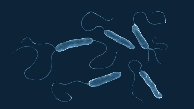 Tackling the increasing threat of MBL-producing pathogens and S. maltophilia: Key insights from ESCMID Global 2026