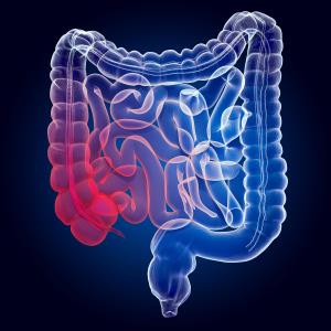 ORP-101 for IBS with diarrhoea misses mark in phase II trial