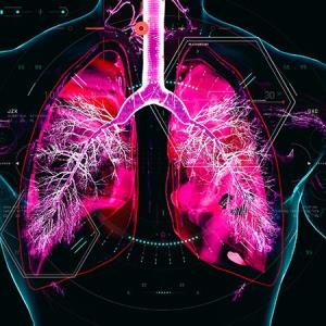 Chronic airway diseases linked to increased pertussis infection risk