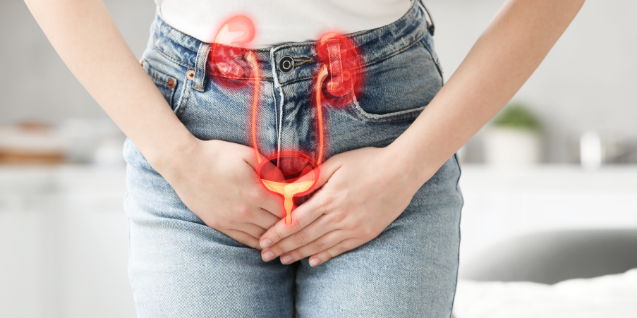Urinary Tract Infection - Uncomplicated_Disease Summary