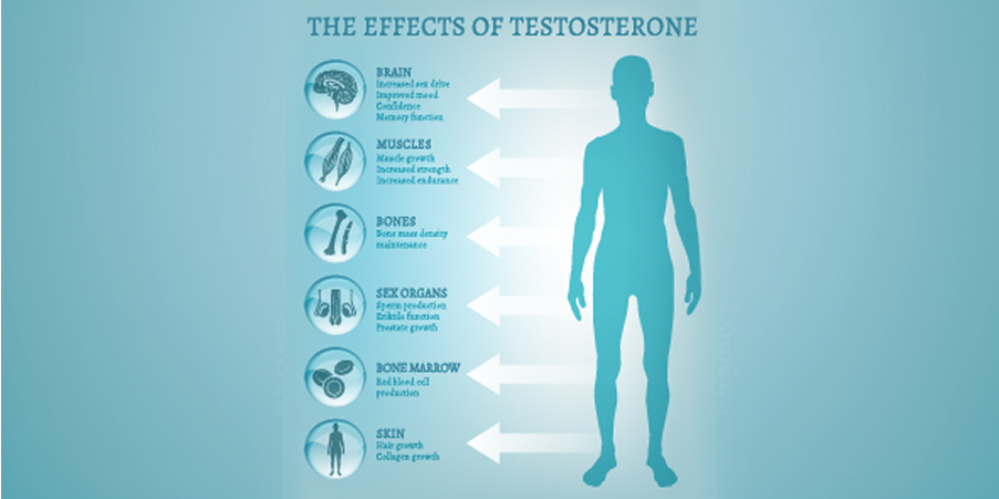 Hypogonadism in Males - Late-Onset_Management 3